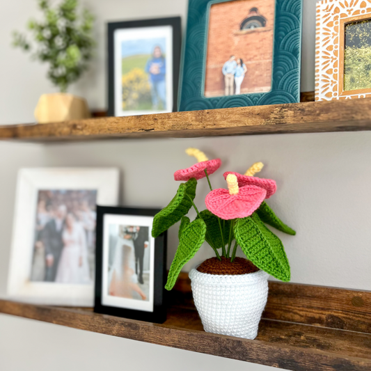 Bring Life Into Your Home: 5 Benefits of Crochet Plants