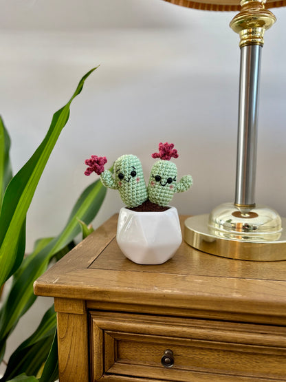 Valentine's Cactus Crochet Pattern