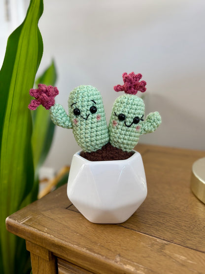 Valentine's Cactus Crochet Pattern