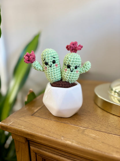 Valentine's Cactus Crochet Pattern