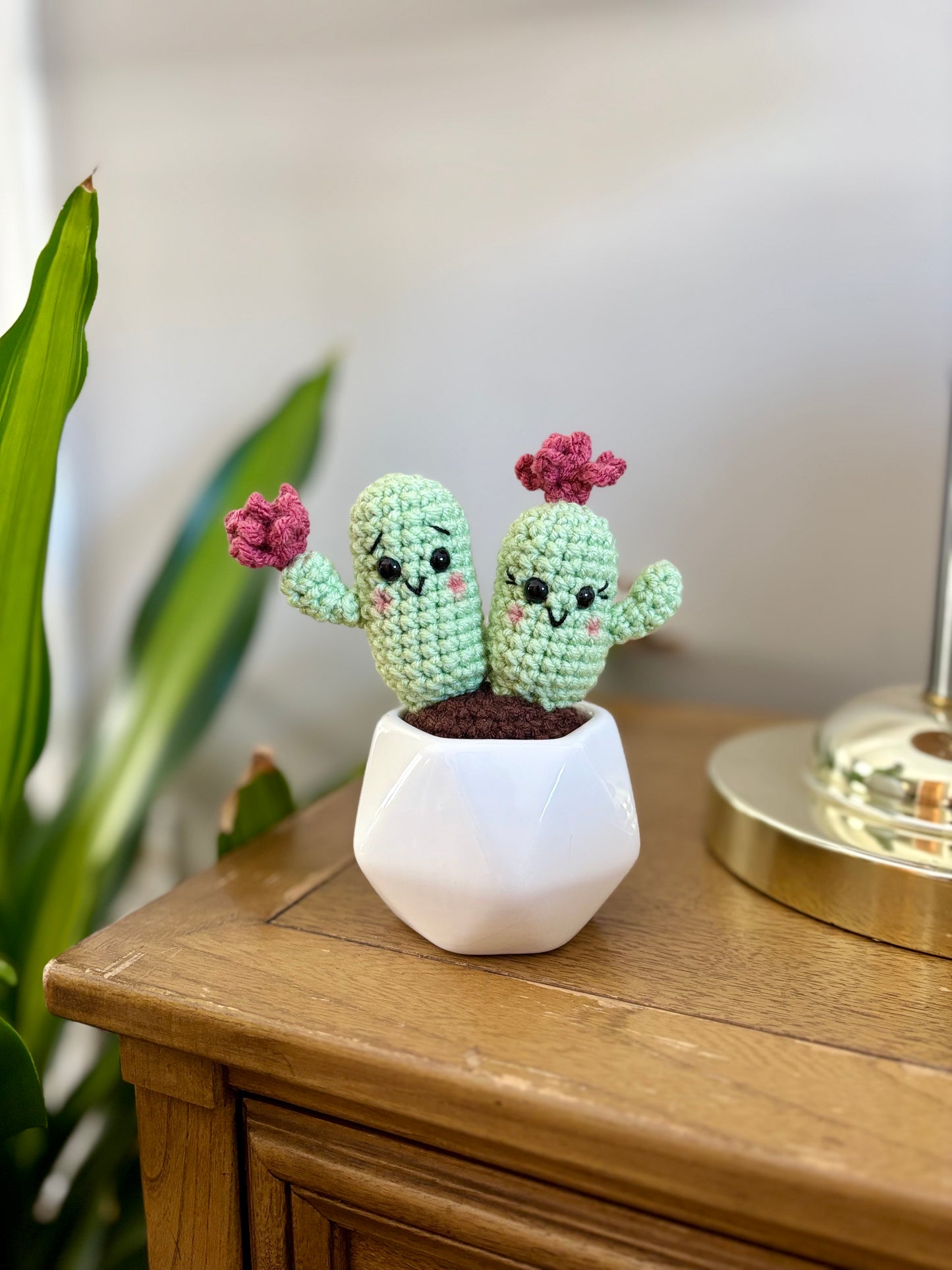 Valentine's Cactus Crochet Pattern