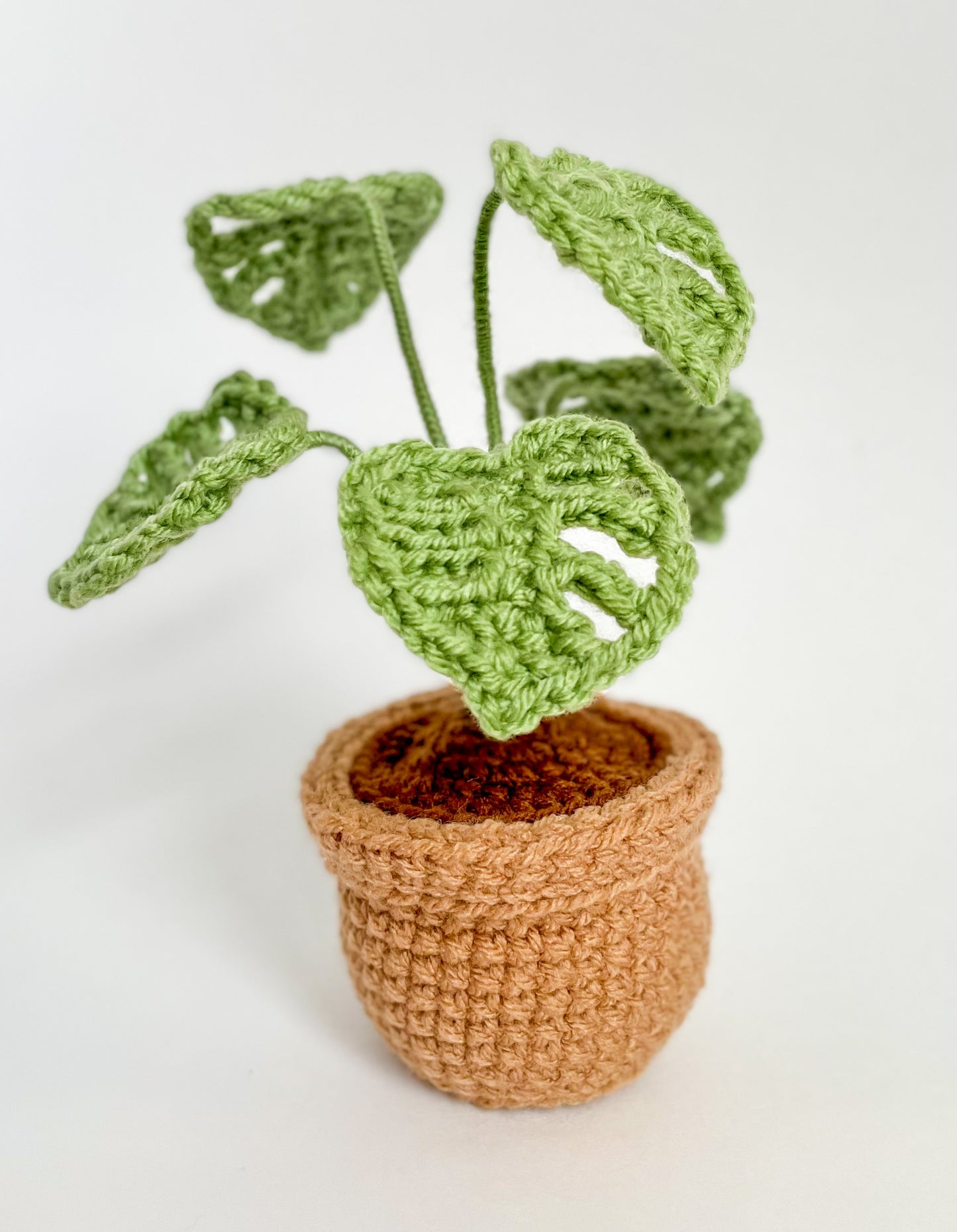 Mini House Plant Collection Crochet Pattern