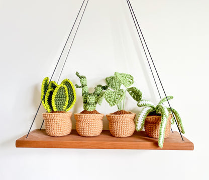 Mini House Plant Collection Crochet Pattern