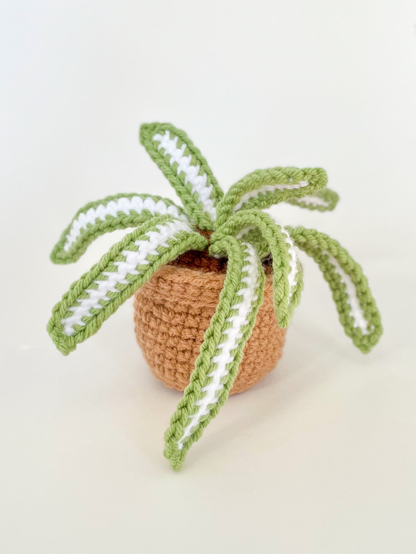 Mini Spider Plant Crochet Pattern