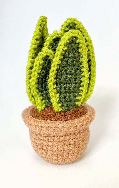 Mini Snake Plant Crochet Pattern