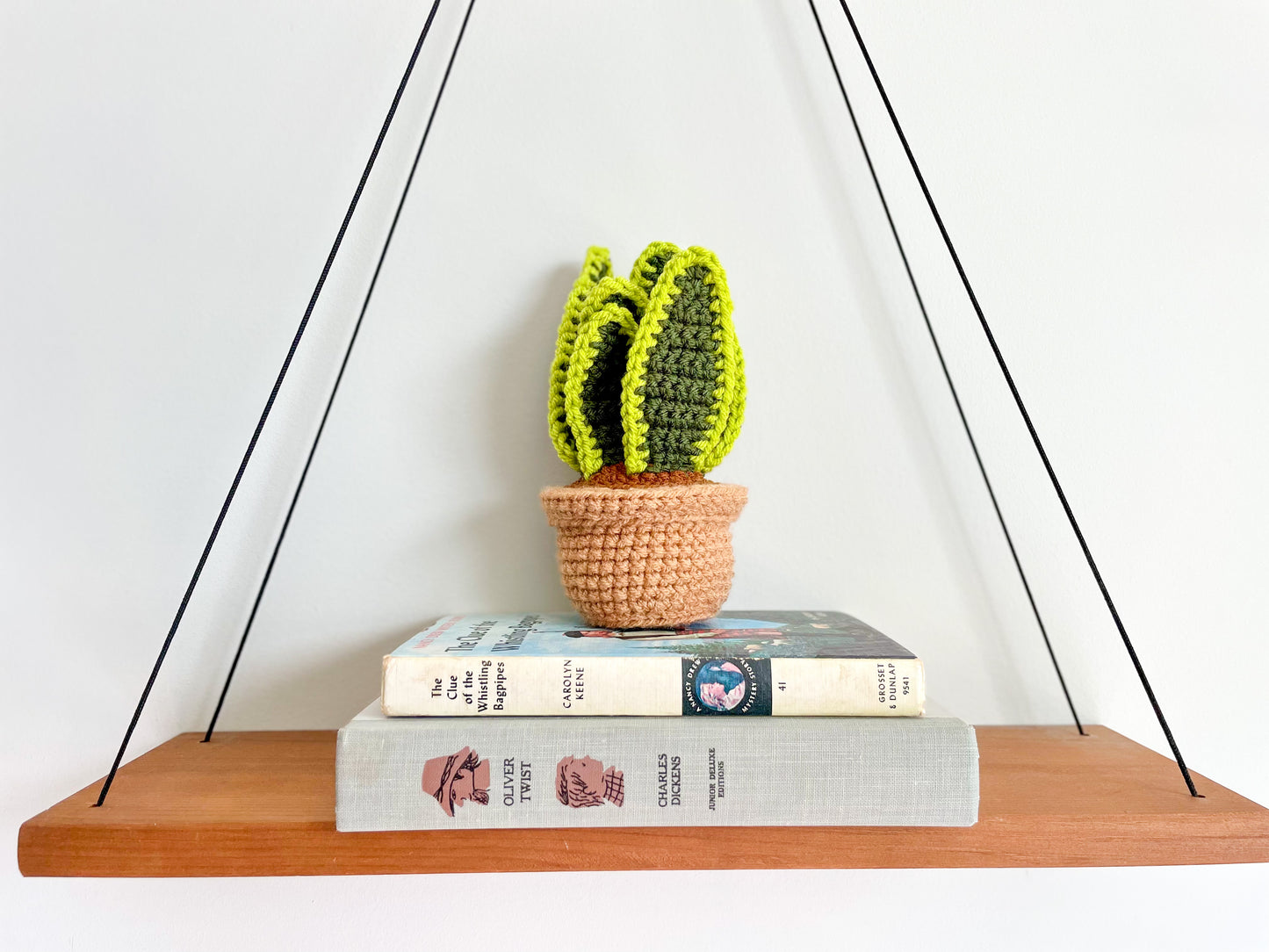 Mini Snake Plant Crochet Pattern