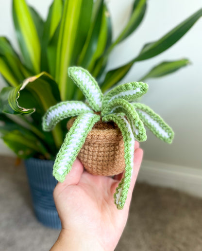 Mini Spider Plant Crochet Pattern