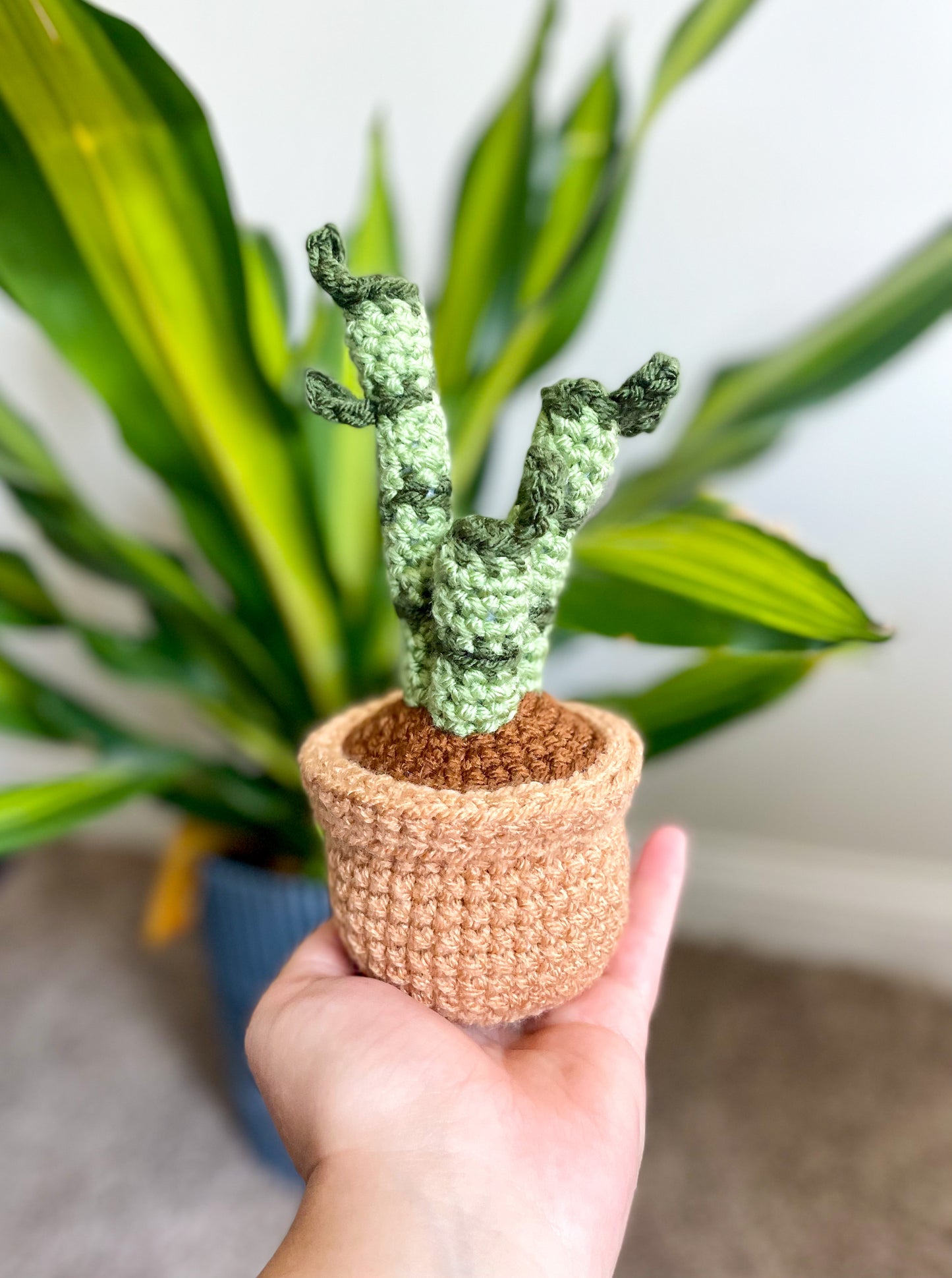 Mini House Plant Collection Crochet Pattern