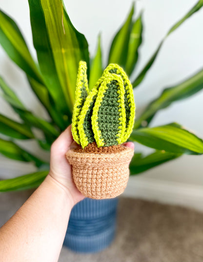 Mini Snake Plant Crochet Pattern