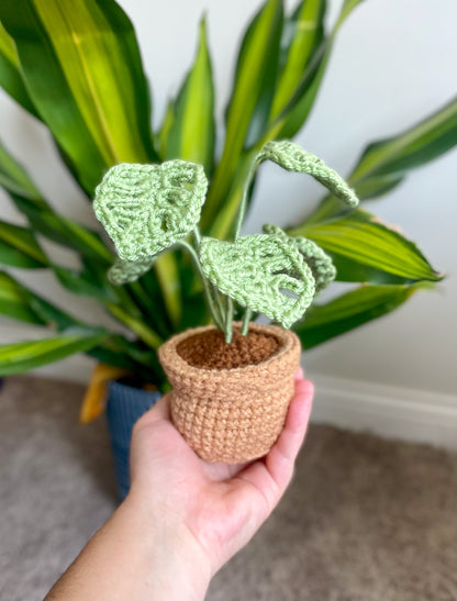 Mini House Plant Collection Crochet Pattern