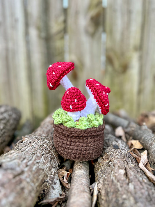 The Mossy Mushroom Crochet Pattern