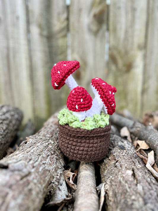 Potted Mossy Mushrooms *MADE TO ORDER