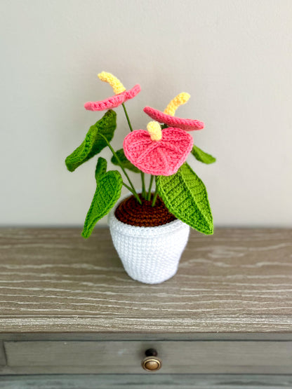 Valentine’s Pink Anthurium Crochet Pattern