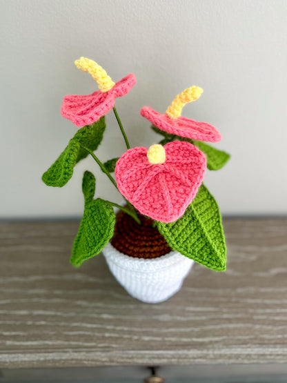 Valentine’s Pink Anthurium Crochet Pattern