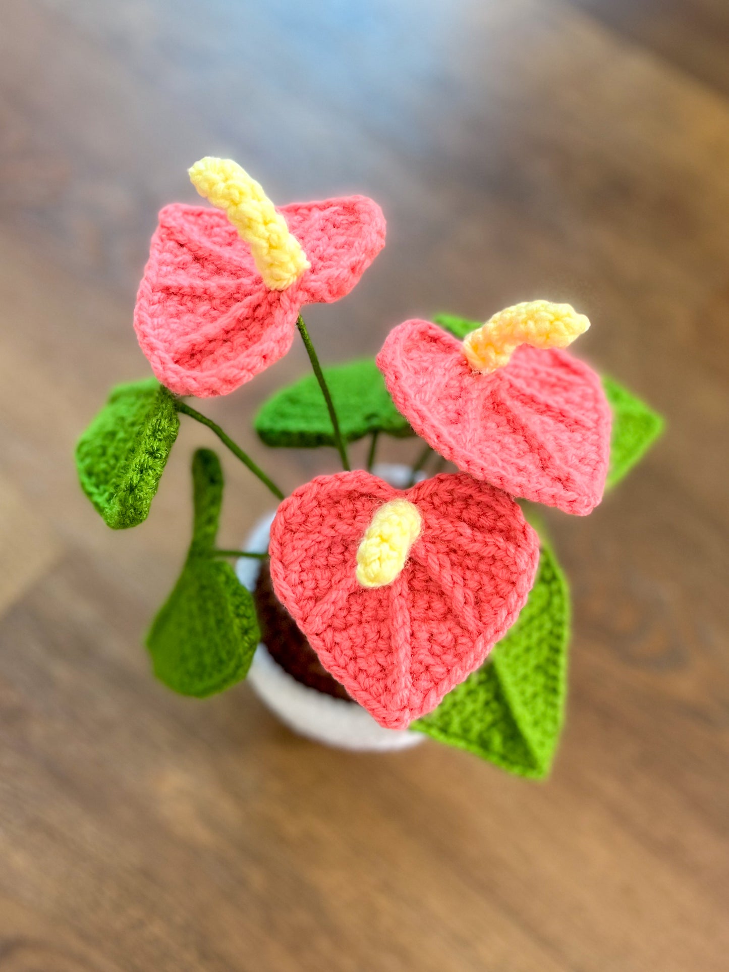 Valentine’s Pink Anthurium Crochet Pattern