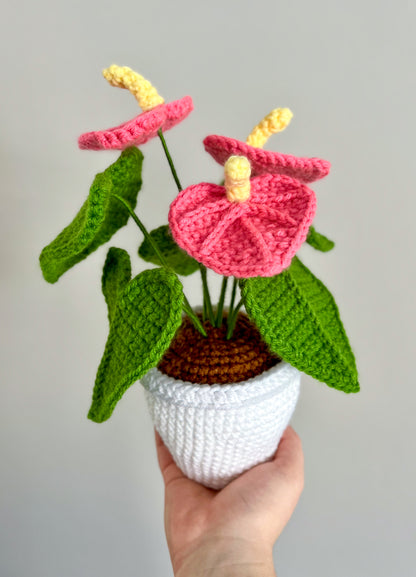 Valentine’s Pink Anthurium Crochet Pattern