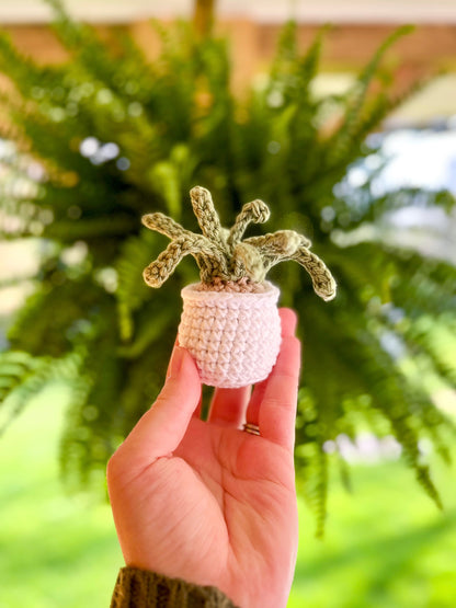 No-Sew Mini Leafy Plant Crochet Pattern